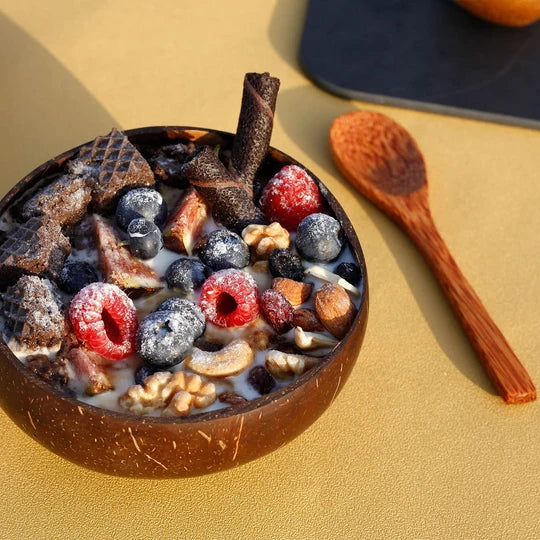 COCONUT SHELL BOWL (500ml) + SPOON