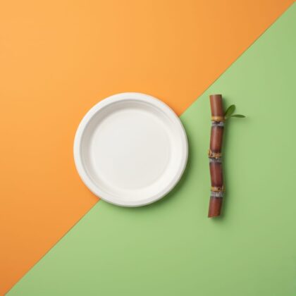 7 inch Disposable plates