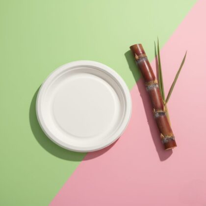 12 Inch Disposable plates