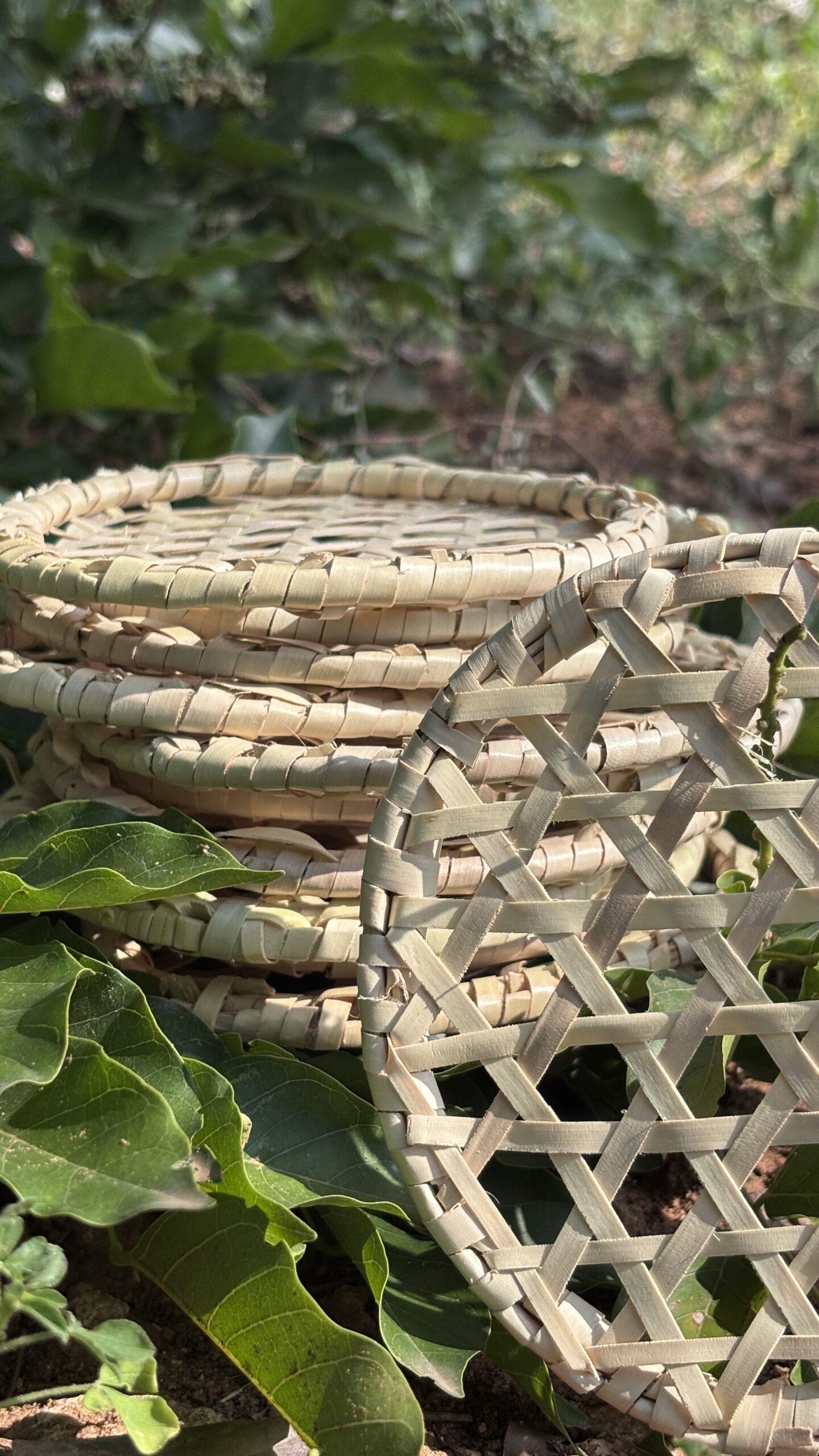 IDIYAPPA THATTU - Pack of 5 - Image 3