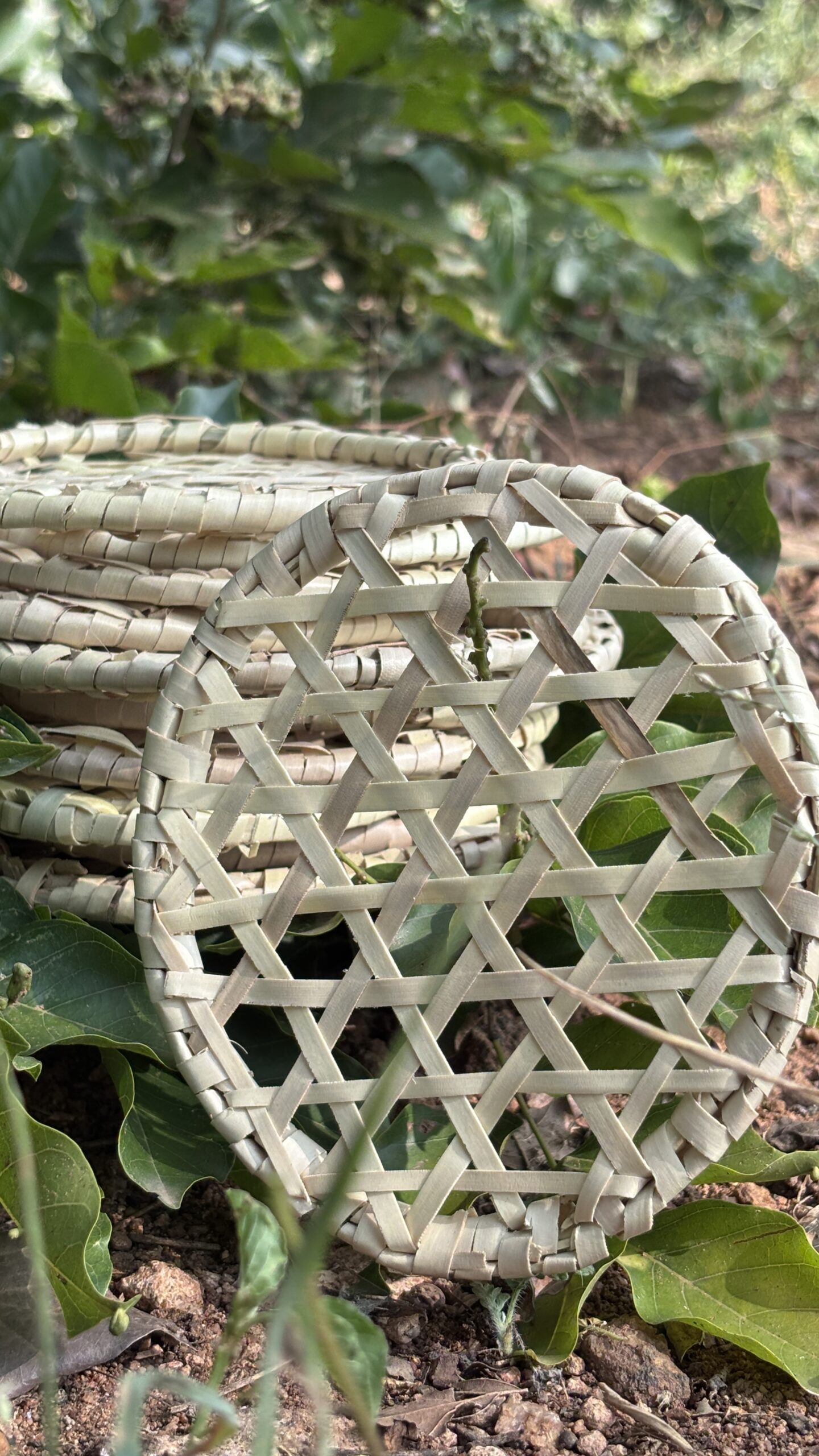 IDIYAPPA THATTU - Pack of 5 - Image 2